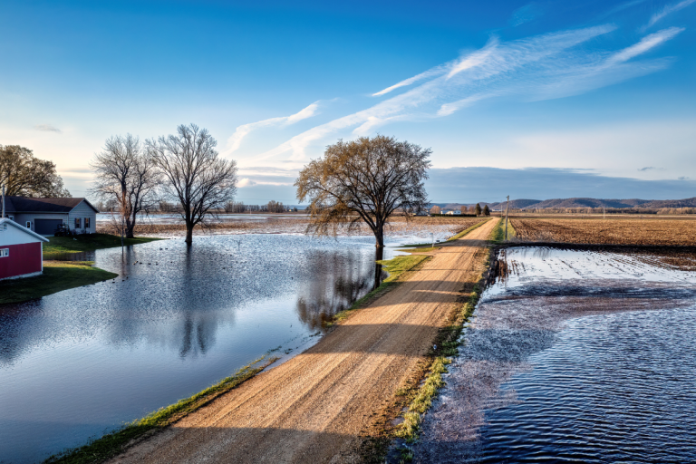 Santa Fe: declaran la emergencia agropecuaria por lluvias, desbordes y excesos hídricos