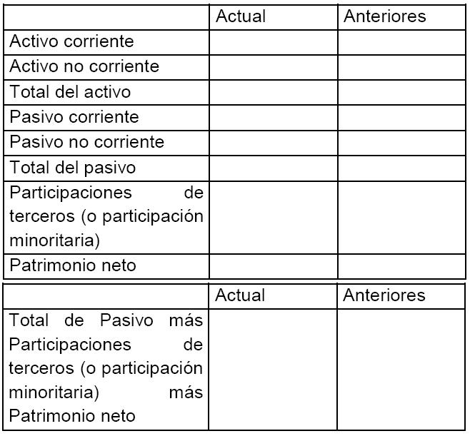 Normas CNV (N.T. 2013), CAPITULO III - NORMAS RELATIVAS A LA FORMA DE PRESENTACIÓN Y CRITERIOS DE VALUACIÓN DE LOS ESTADOS FINANCIEROS, imagen oficial 2.